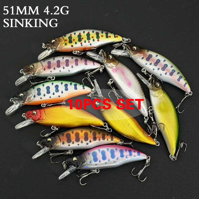 Juego de 10 señuelos de pesca  - Fishing Equipment In Japanese reseña y precio