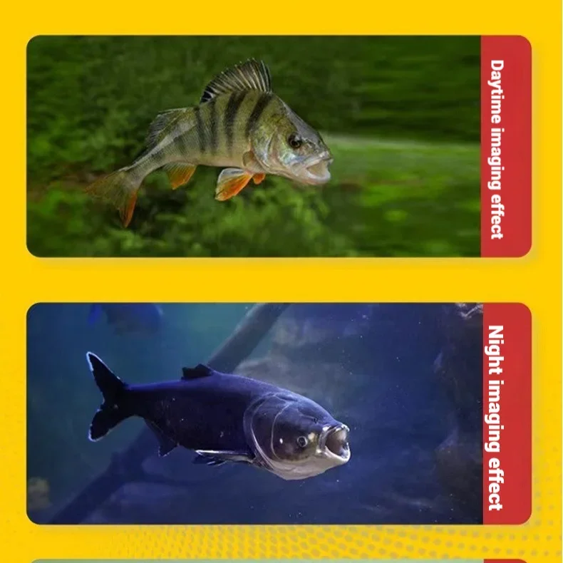 Cámara de Pesca Submarina con  - Underwater Fishing Camera reseña y precio